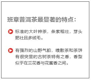 “老班章王”：激活文人灵感的千年古茶