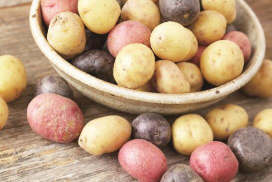 小土豆，大产业